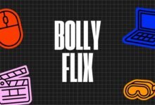 bollyflix movie