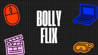 bollyflix movie